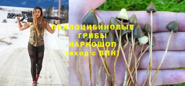 кокс Баксан
