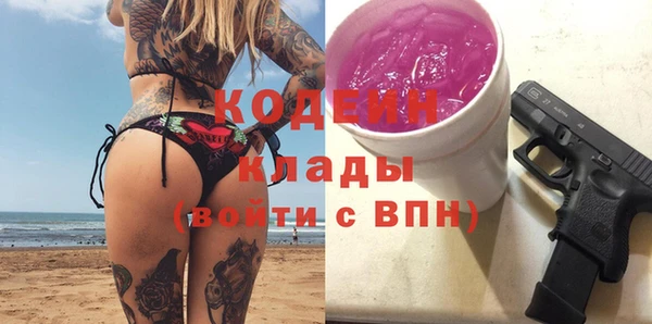 бошки Няндома
